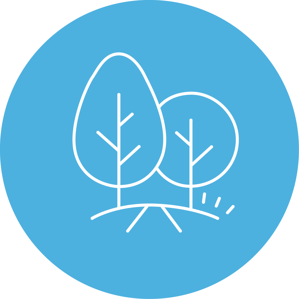 Icon mit zwei Bäumen als Symbol für Corporate Social Responsibility (CSR), Nachhaltigkeit und Volunteering.
